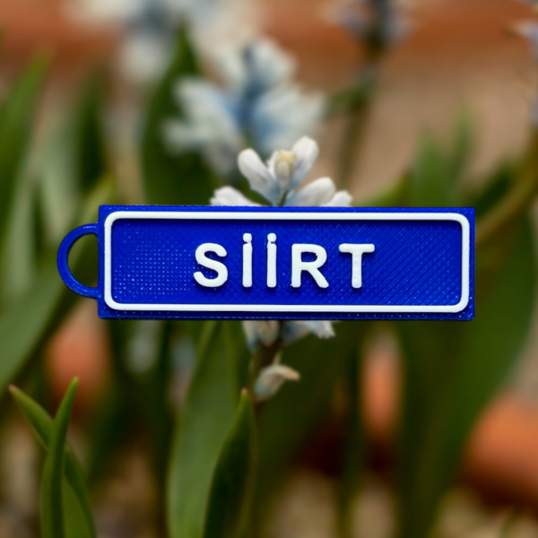 Memleketim Siirt Tabela (2)